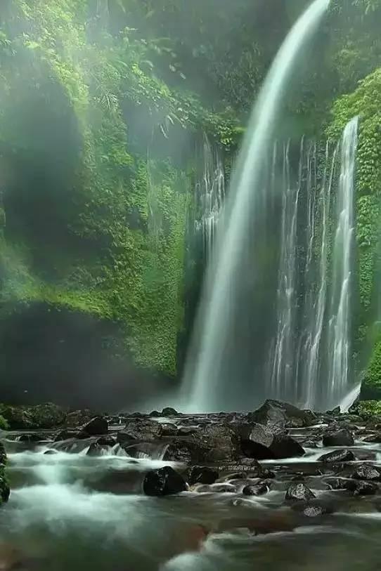 美人鱼游玩