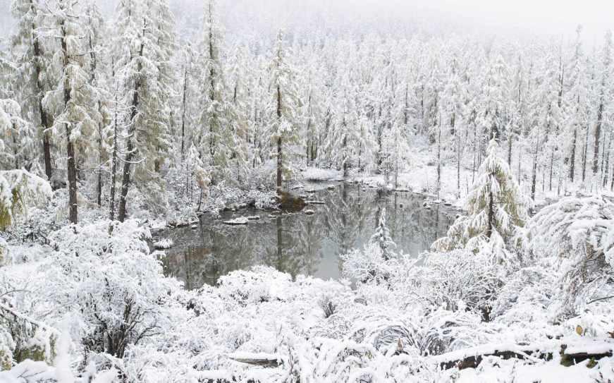 雨雪天气,昆明公交禁止驾驶员急加速和急刹车!