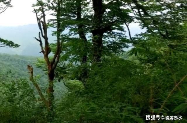 冰晶对对碰