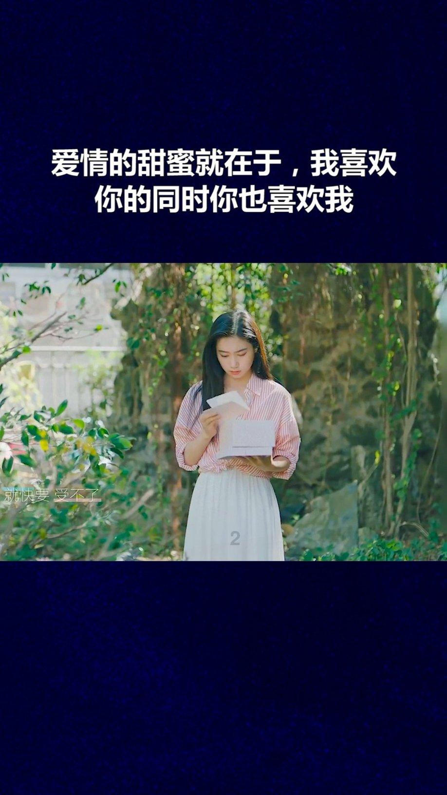 植物大战僵尸5