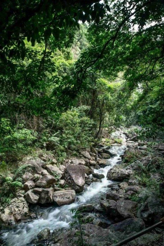 栅栏迷宫