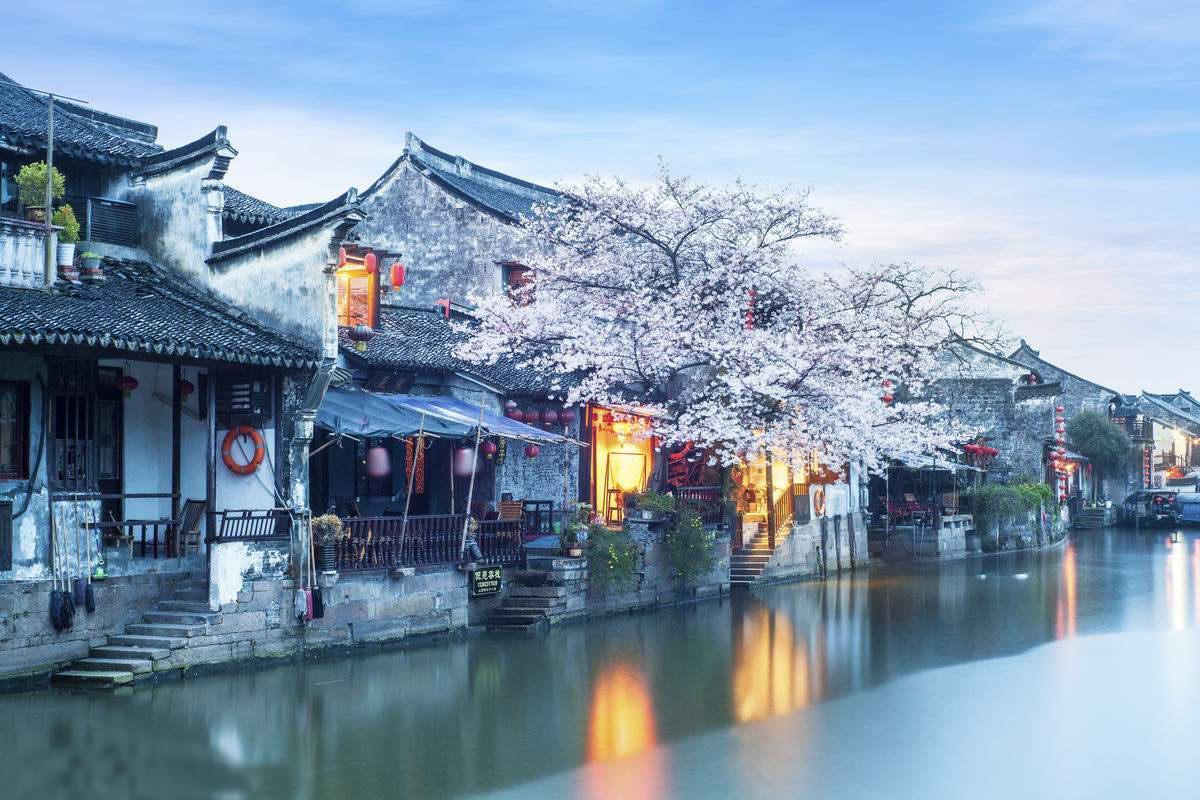 蓝色怪物救援